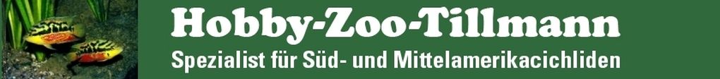 Hobbyzoo Tillmann - Ihr Spezialist für Buntbarsche aus Mittel- und Südmerika in Duisburg